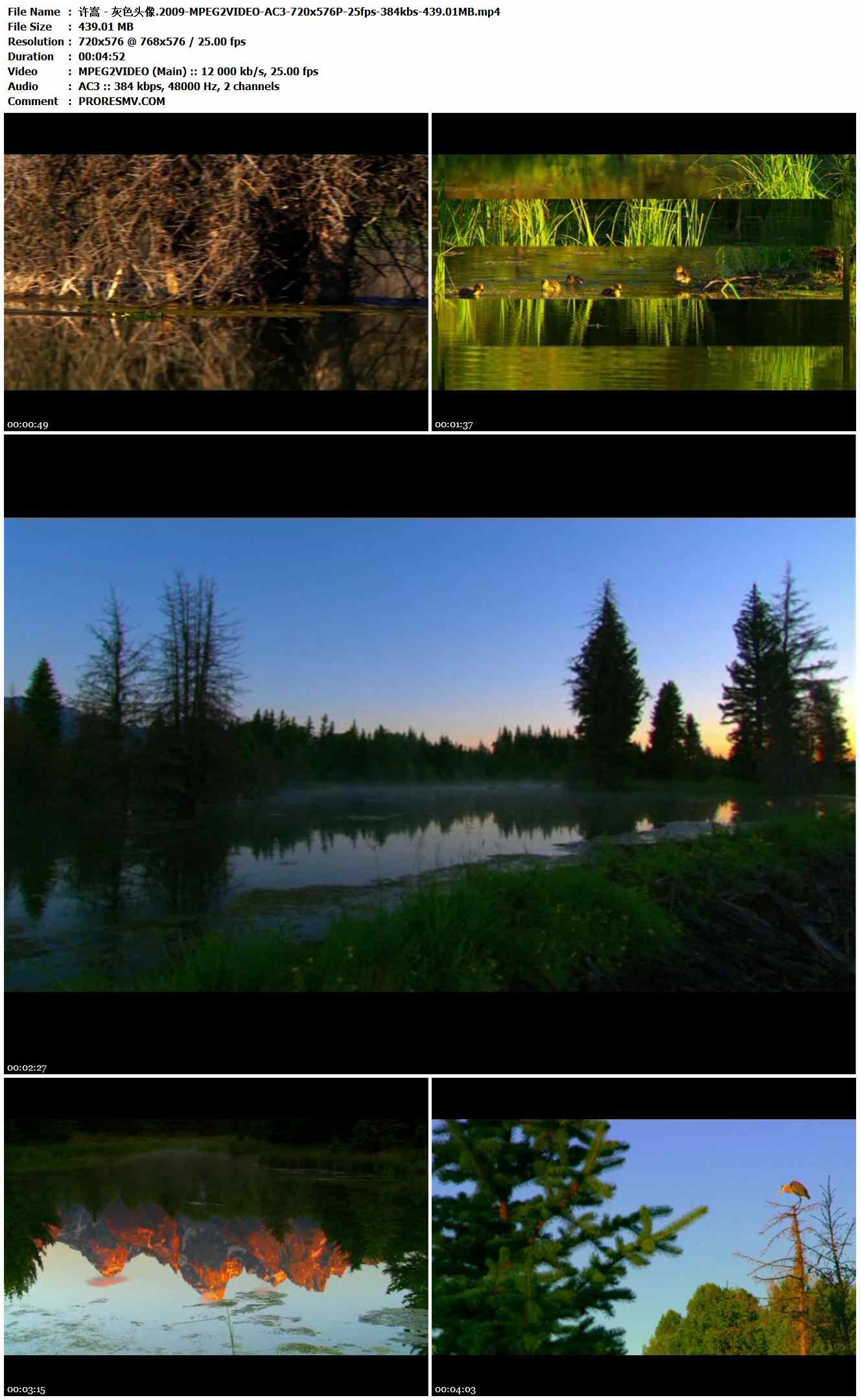 许嵩 - 灰色头像.2009-MPEG2VIDEO-AC3-720x576P-25fps-384kbs-439.01MB官方MV_高清MV